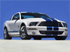 Фото Ford Shelby GT 500