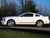 Ford Shelby GT 500 Ford Shelby GT 500