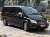 Mercedes Viano
