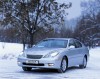 lexus_tn