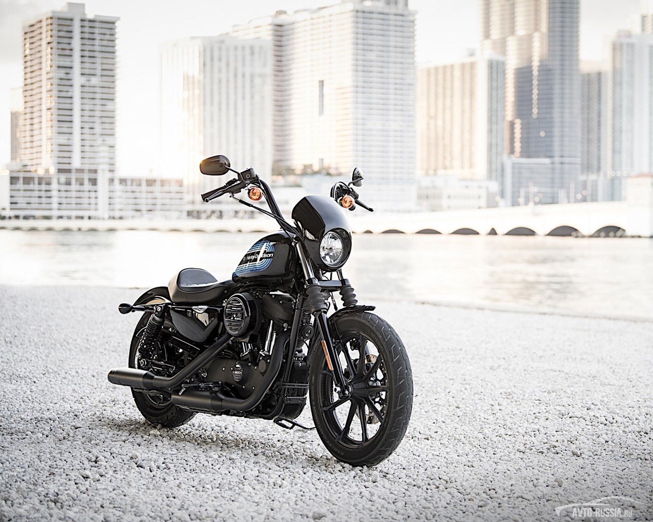 Обои Harley-Davidson Iron 1200 1280x1024