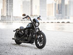 Обои Harley-Davidson Iron 1200 1024x768