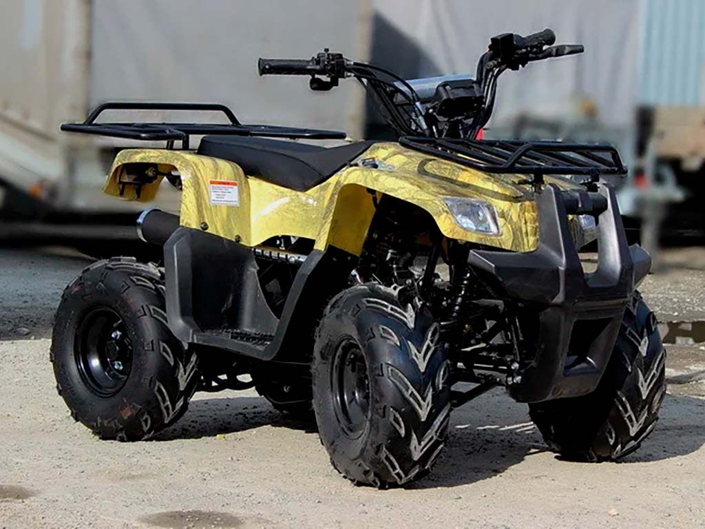 Обои Motoland ATV Rider 1024x768
