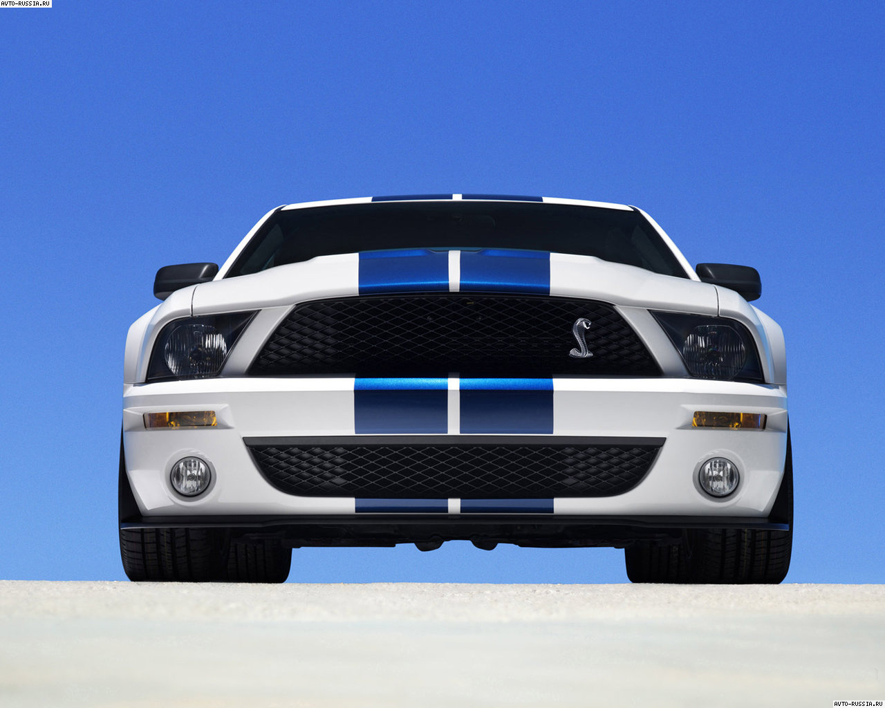 Обои Ford Shelby GT 500 1280x1024