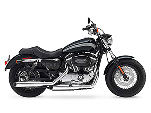 Harley-Davidson -   -   2024    