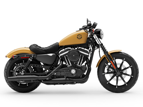 Фото 3 Harley-Davidson Iron 883