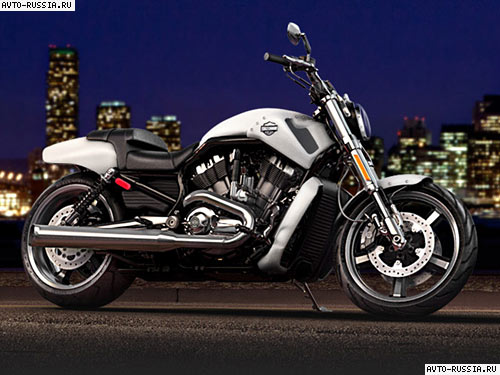 Фото 3 Harley-Davidson V-Rod Muscle 1250