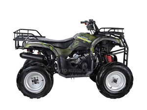 Wels ATV Purga