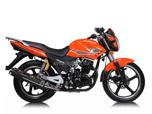 Wels Gold Sport