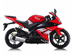 Wels Impulse