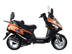Wels Thunder